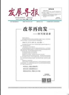 发展导报
